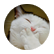 mrspolk