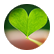 mybluepiano15