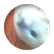 neenaw1