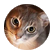 nettystage3
