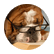 newtechie