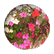 newtonberry7