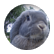 nibbles17