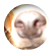 nicksboy