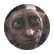 nosnip9