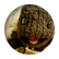 nunuk