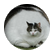 oliryd