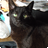 onyx4219