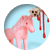 oscco