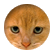 otto29