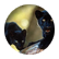 pantherlab