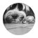 piglover4444