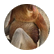 plonkasaurus