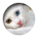 pockadots