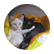 prittenkitten