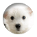puppielove1