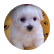 puppy42