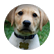 puppyluv798