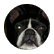 puppyluver1998