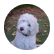 puppypals1
