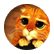 pussmena1