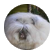 qwertyuioplkjhgfdsa