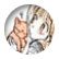 rachtam00