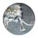 rcurrey