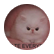 reallycutecupcake