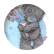 rlively740