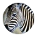 roachy02
