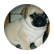 rockycecebff