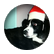 ruby11