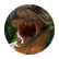 ryanoak