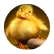 s5782