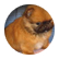 sammikittycat