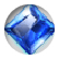 sdoty