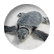 seaturtle