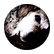 sfekete21