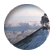shark5