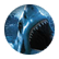 sharkboy4