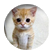 shminky29