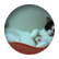 shmoo9