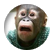 siba