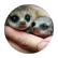 sisiroxu