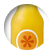 sjslo