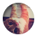 smartcat101