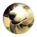smartcookie2