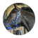 smartyartie