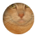 smartypantslivvy